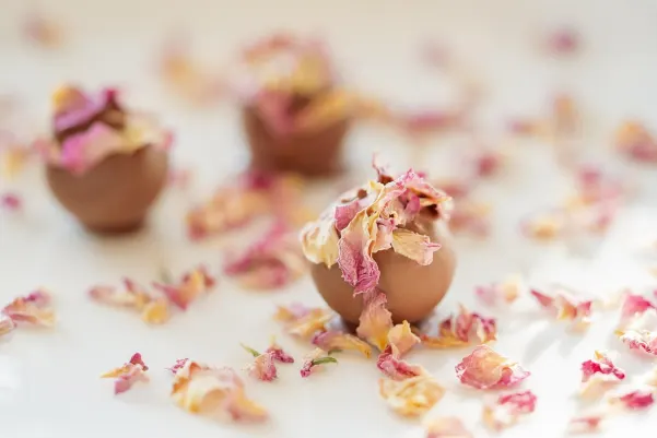 Bet24star Casino Android/iOS-app